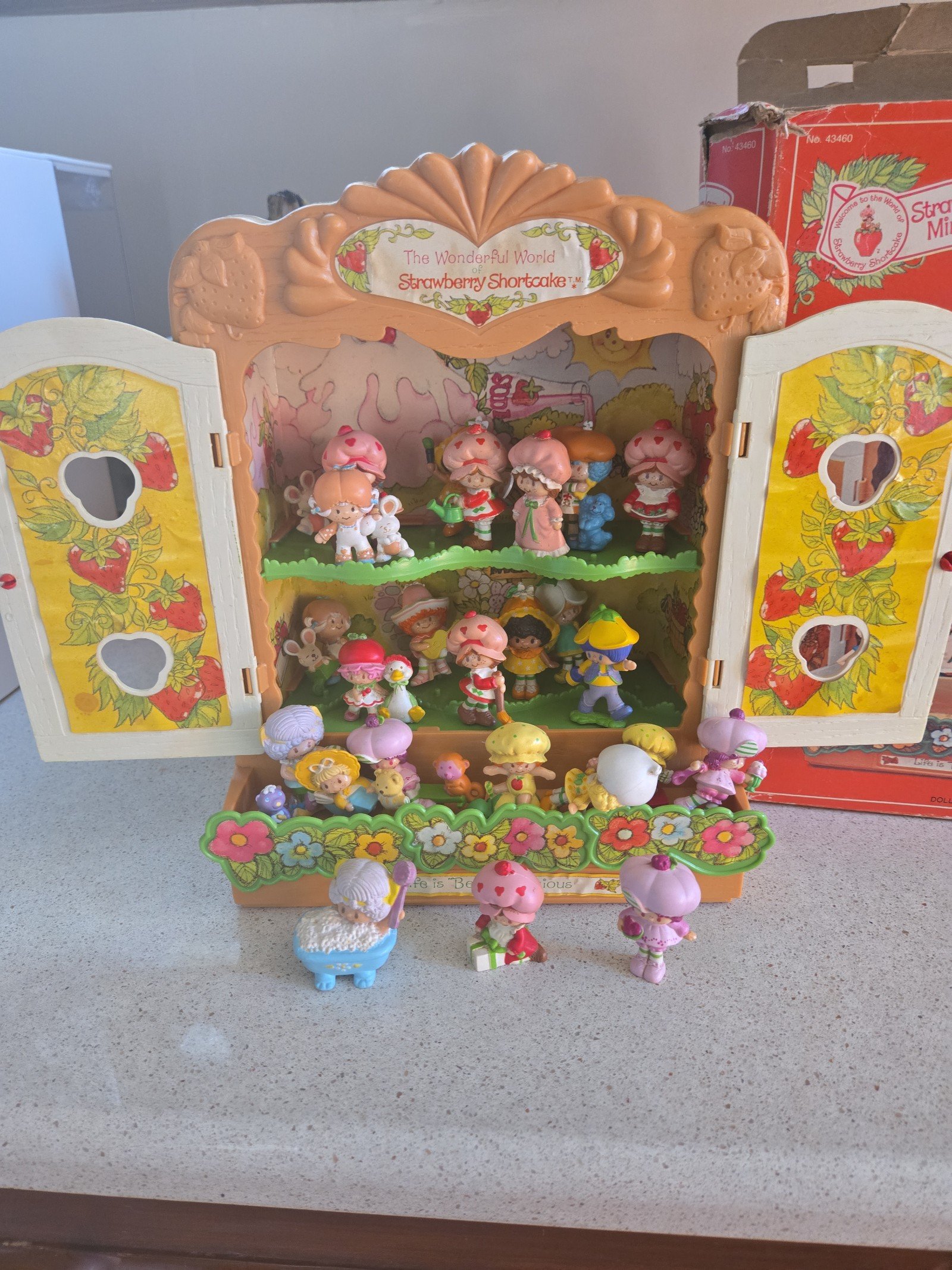 Vintage 1981 Strawberry Shortcake Berry Patch carry case and 25 figurines