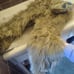 Fursuit pants with atached tail