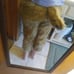Fursuit pants with atached tail