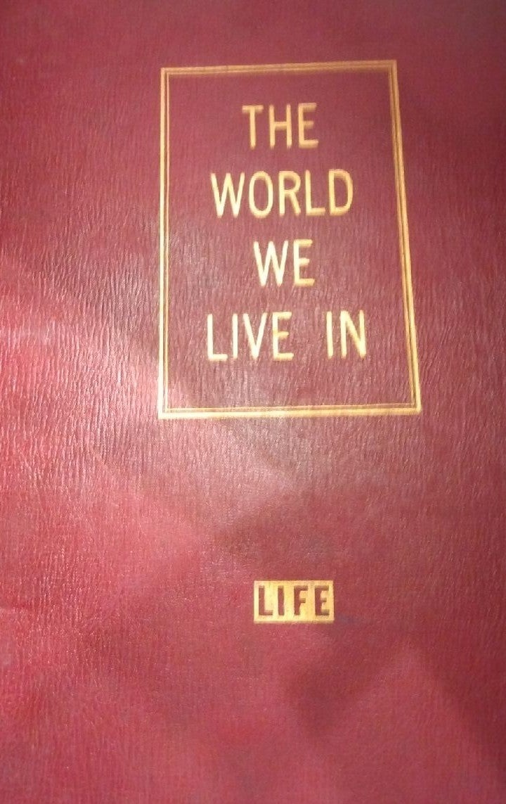 THE WORLD WE LIVE IN LIFE BY EDITORIAL STAFF