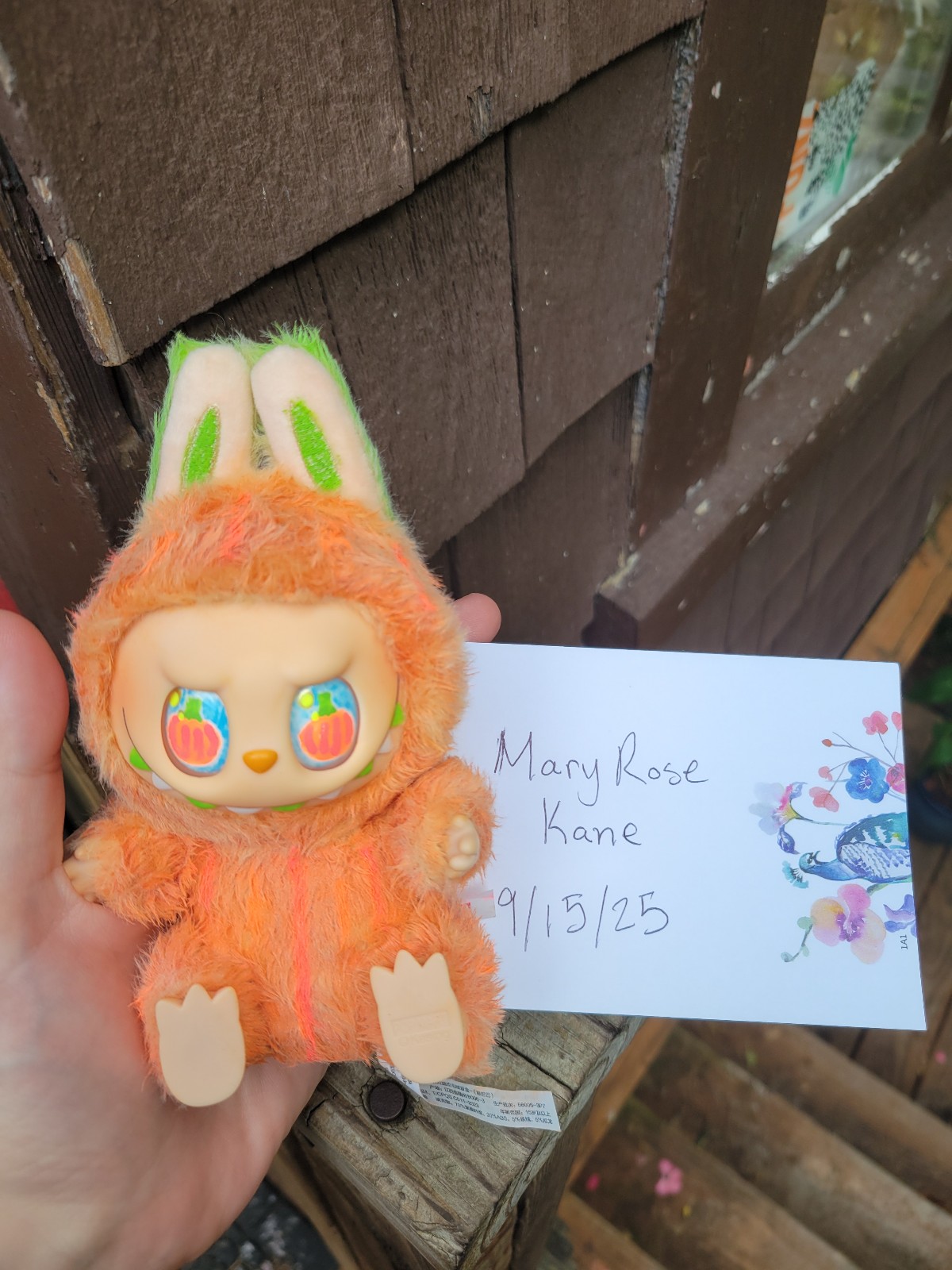 Custom Pumpkin Labubu