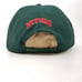 Michigan State Spartans Big Ten Conference Snapback Hat Nutmeg Mills VTG RARE