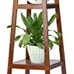 Wood Plant Stand, Tall Plant Holder, Fern Stand, Monterey Pine Plant Stands