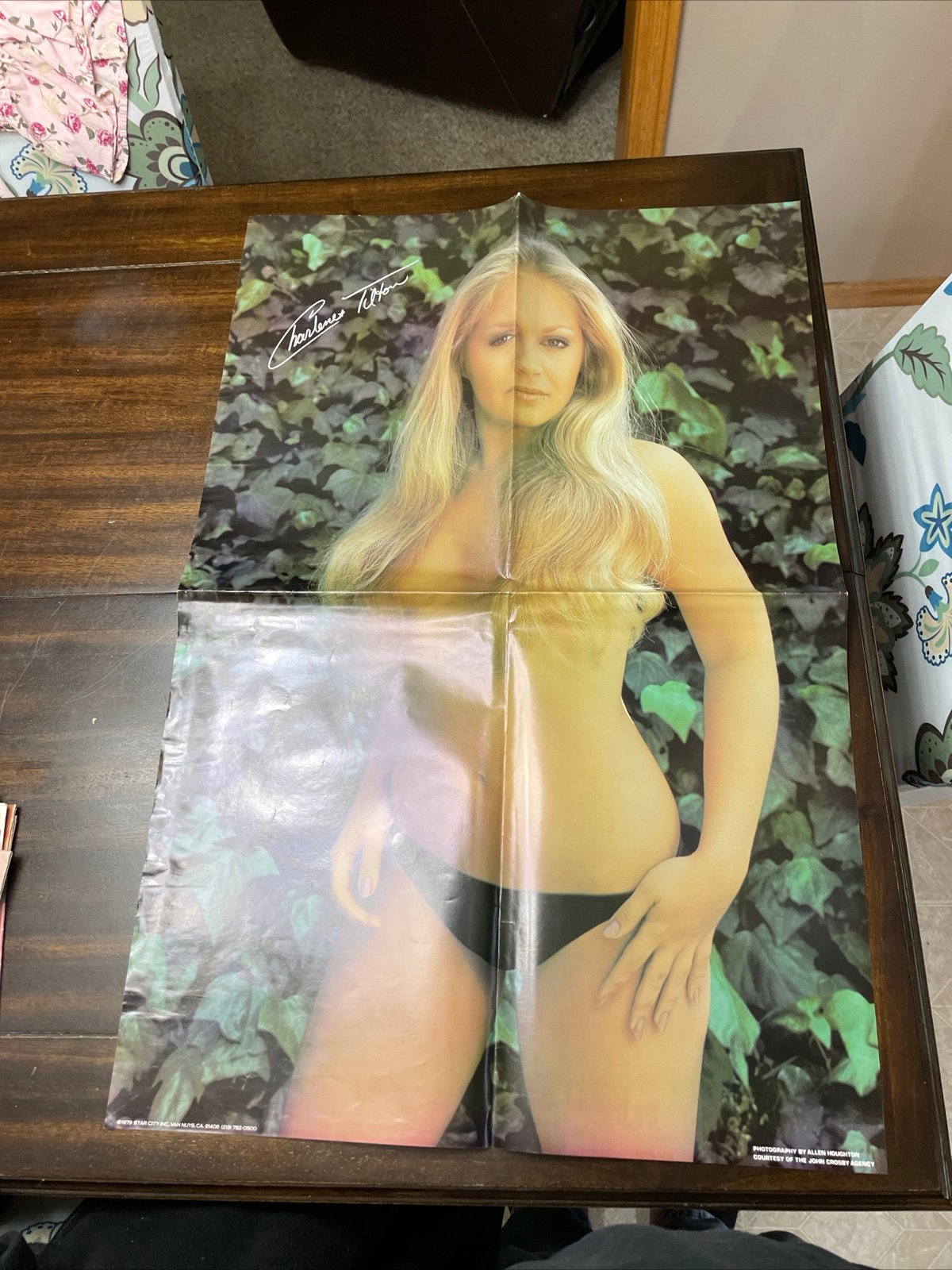Original Charlene Tilton poster topless 1979 Star City 23 x 17.5 made In The USA