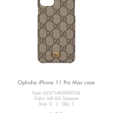Gucci case