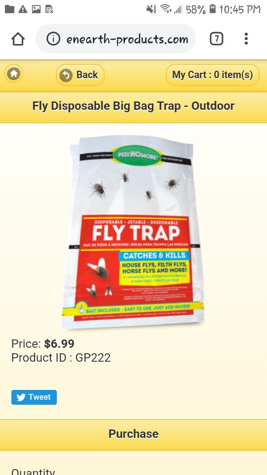 Fly Trap. x10