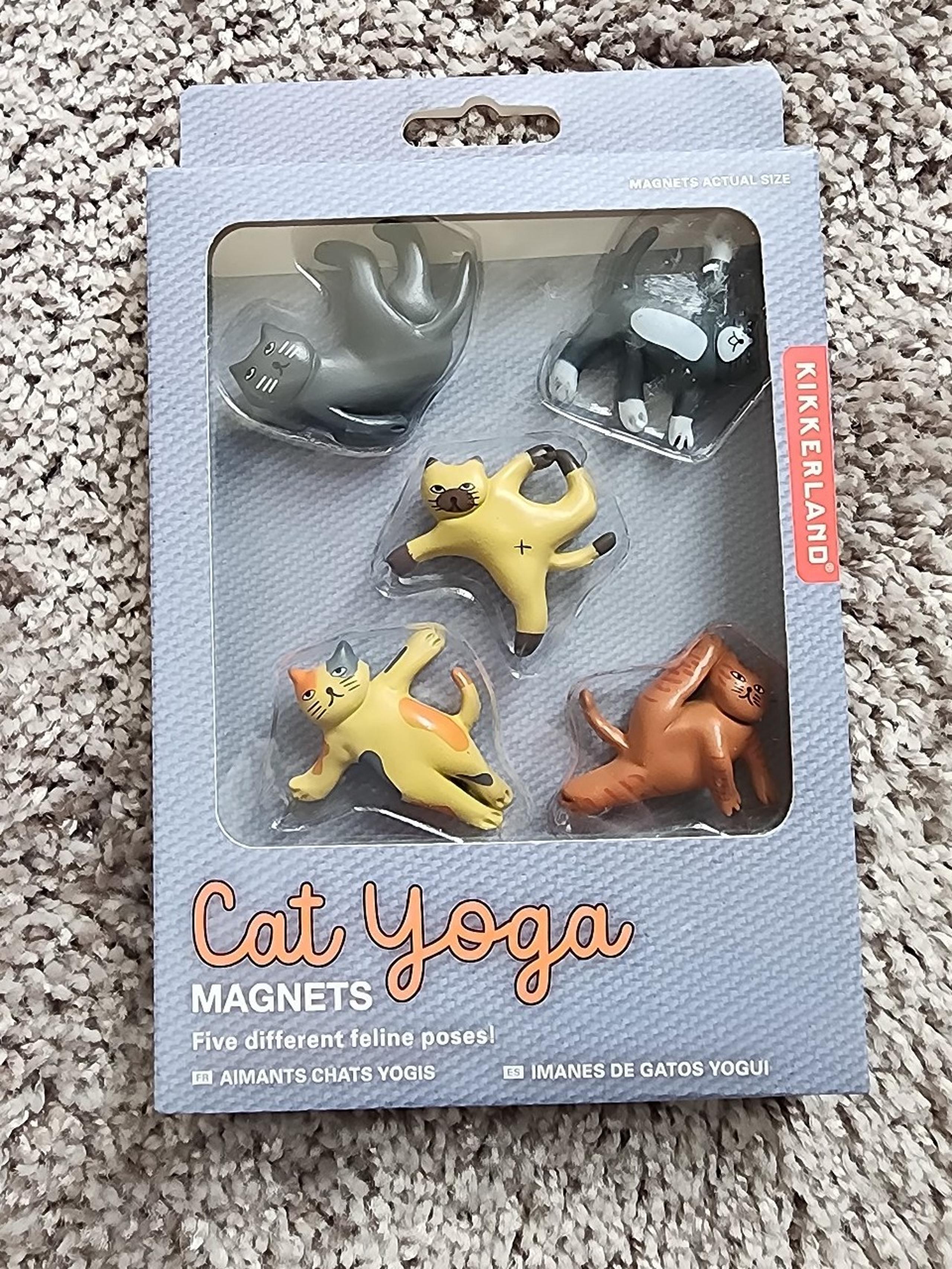 NWT Cat Yoga Magnets Novelty Fridge Decor Funny Gift Kitten
