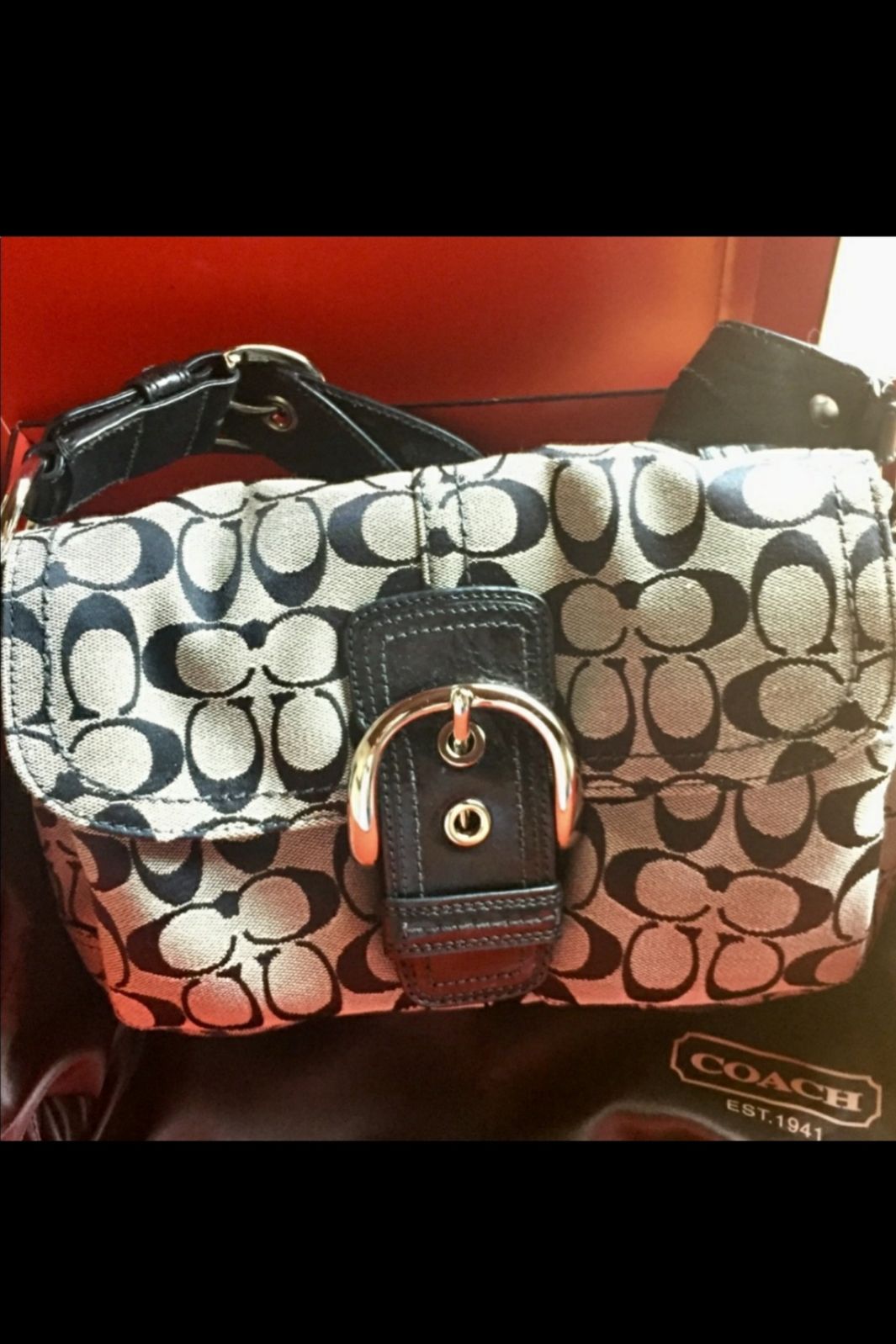 Coach Mini Bag