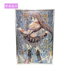 【Completed】Monogatari Mosaic Art Jigsaw Puzzle Hitagi Senjougahara with Frame