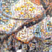 【Completed】Monogatari Mosaic Art Jigsaw Puzzle Hitagi Senjougahara with Frame
