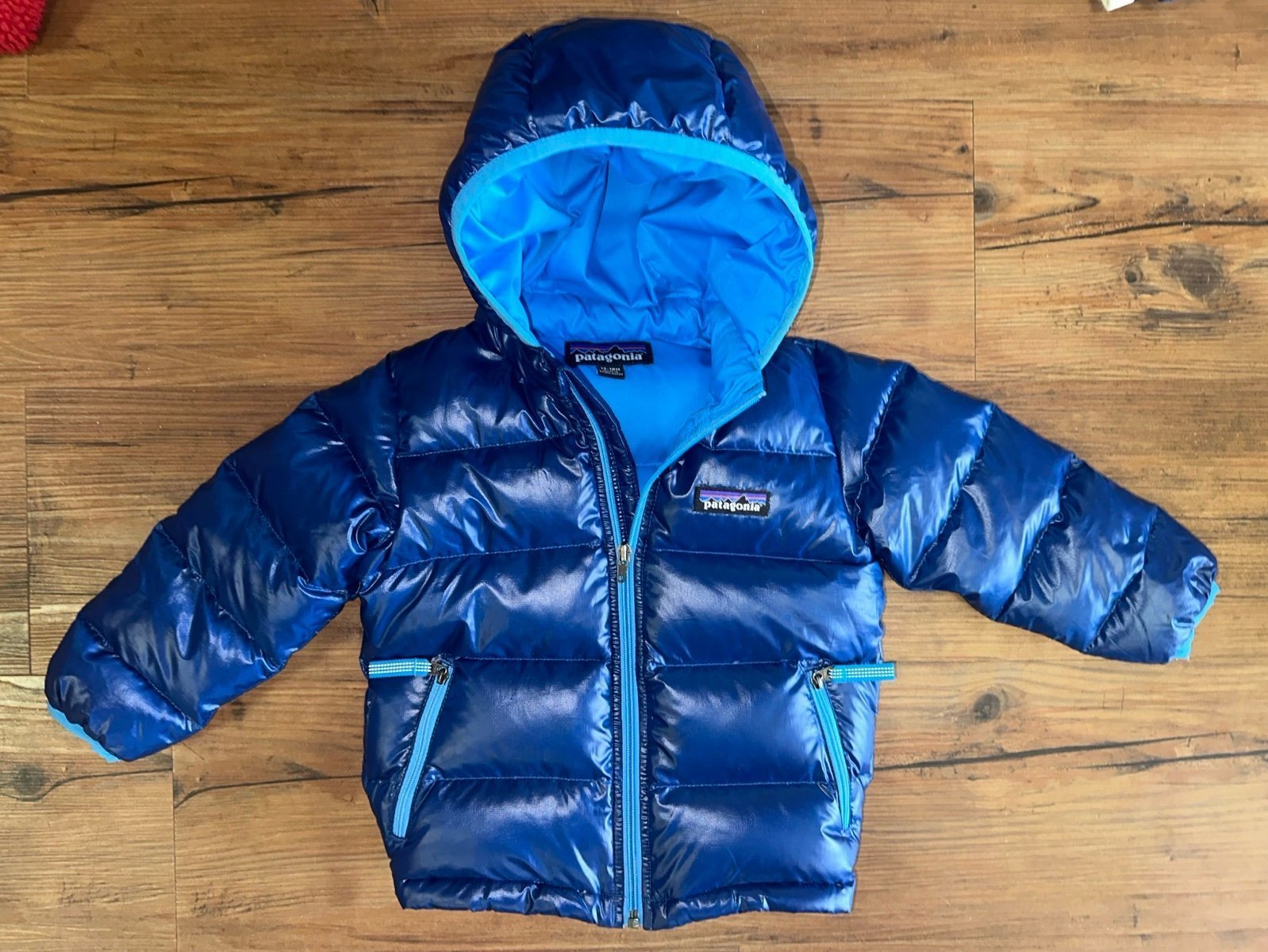 Patagonia 12-18m Hi-Loft Down Hoodie Sweater