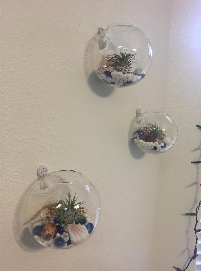 Wall Hanging Glass Planter Set (3 Pack)