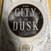 Fairyloot adult city of dusk