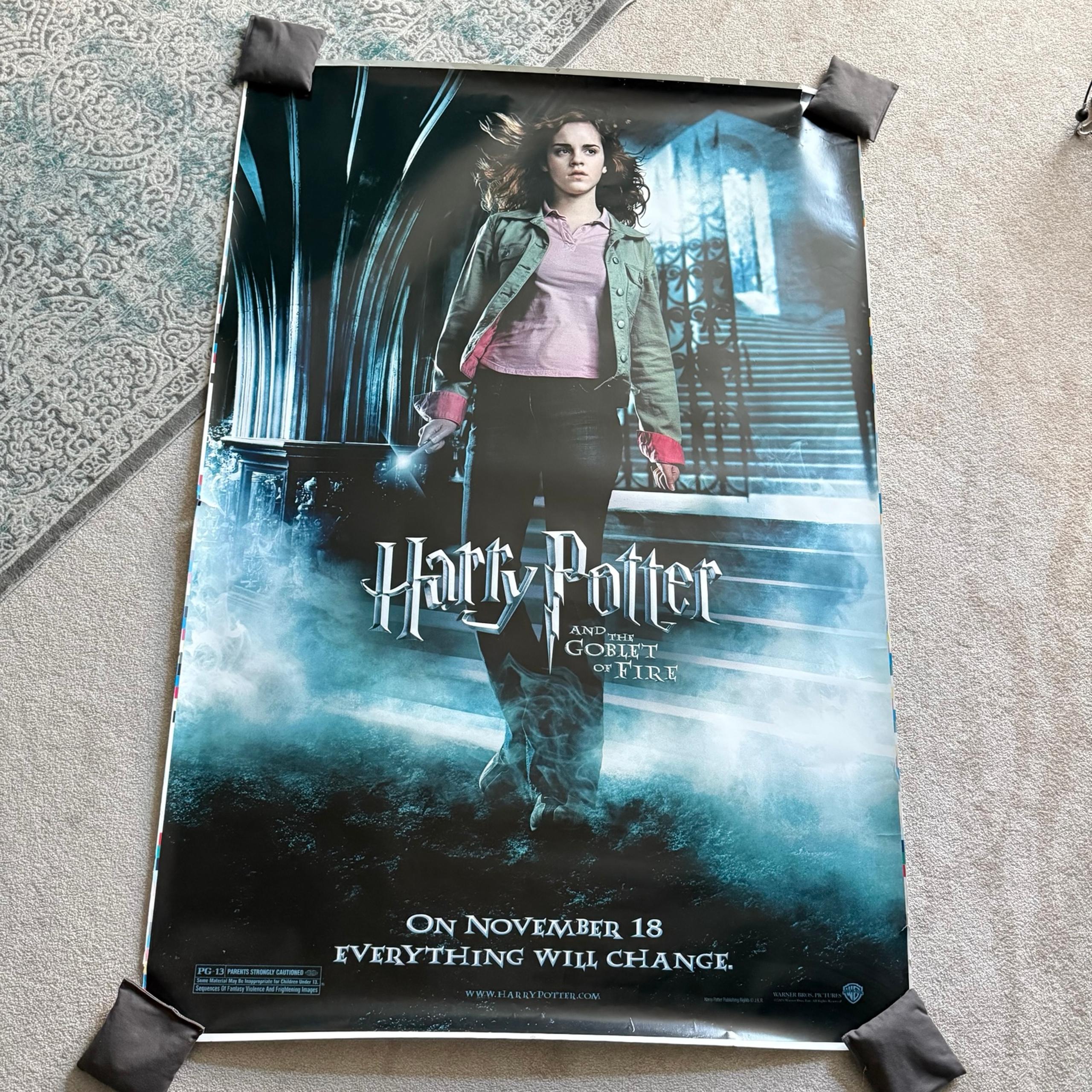 Hermione 48 x 70 paper banner