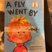 A Fly Went By