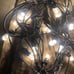 1 set of ENBRIGHTEN white string lights