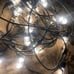 1 set of ENBRIGHTEN white string lights