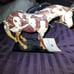 Trail of painted ponies
