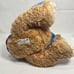 TJ Bearytales Interactive Talking Singing Plush Bear Playskool Tested *READ
