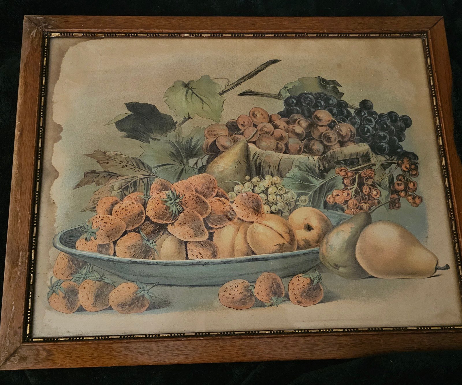 Vintage Framed Still Life Lithograph