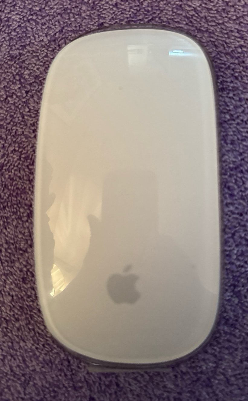 Apple Magic Mouse
