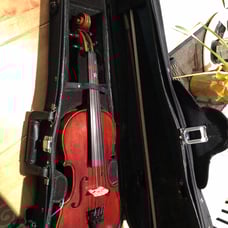 2/4 Size Violin