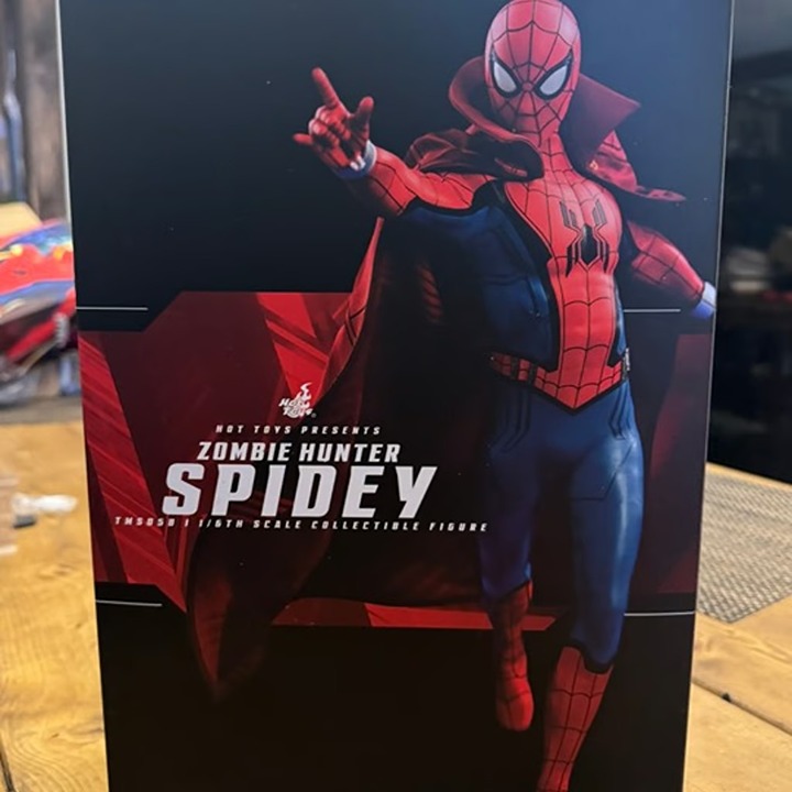 Hot toys (what if?) 1/6th scale Zombie Hunter Spider-Man