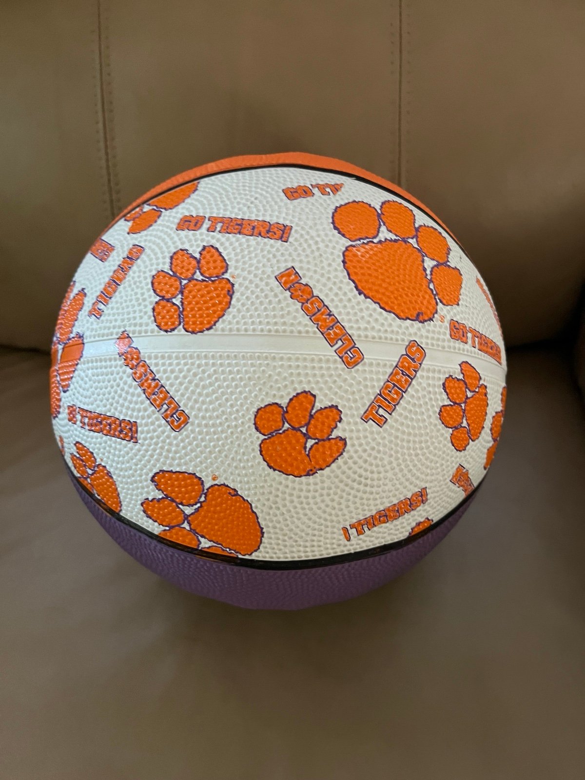 Clemson basketball