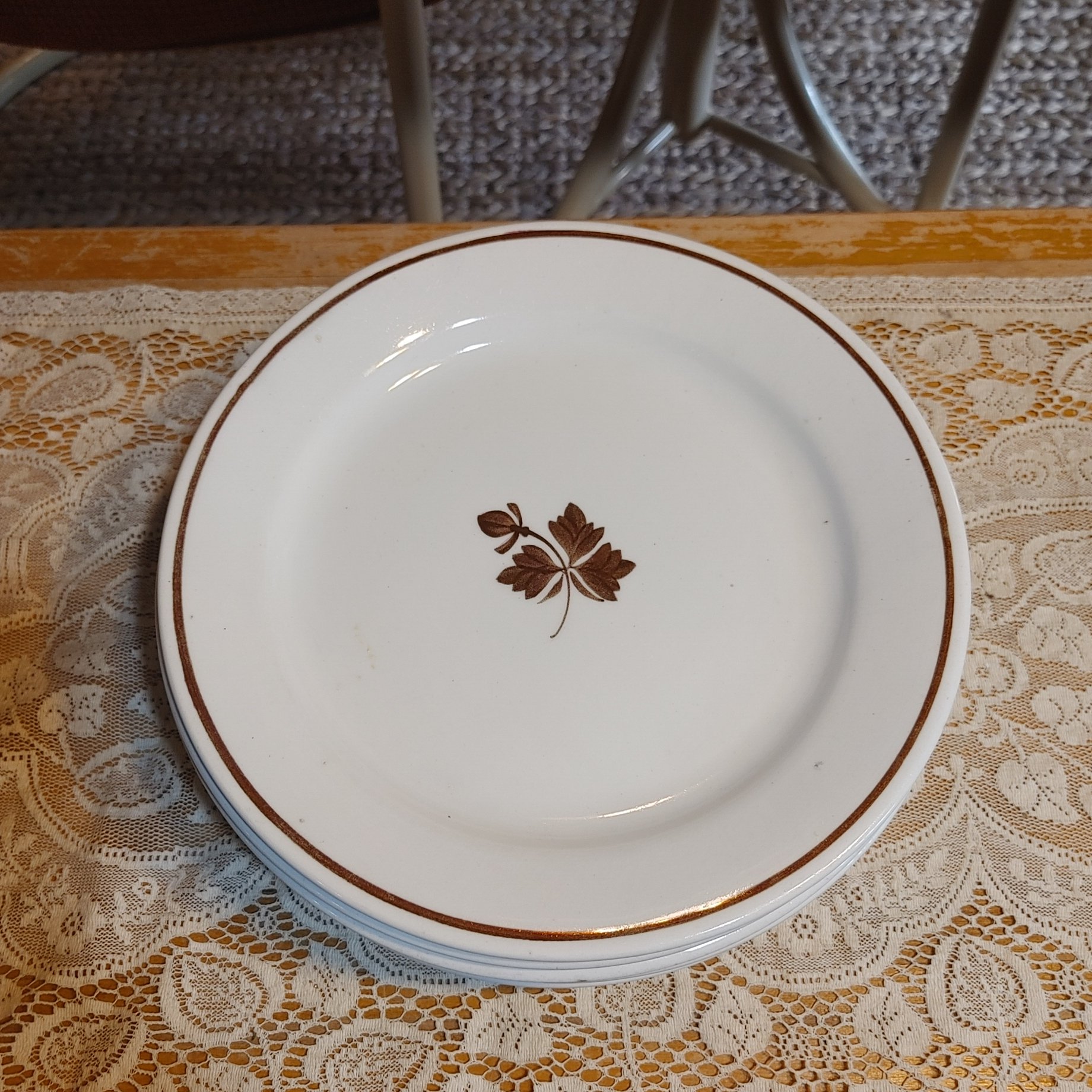 Ironstone 5! Alfred Meakin Copper Tea Leaves Royal England China Free Shipping!