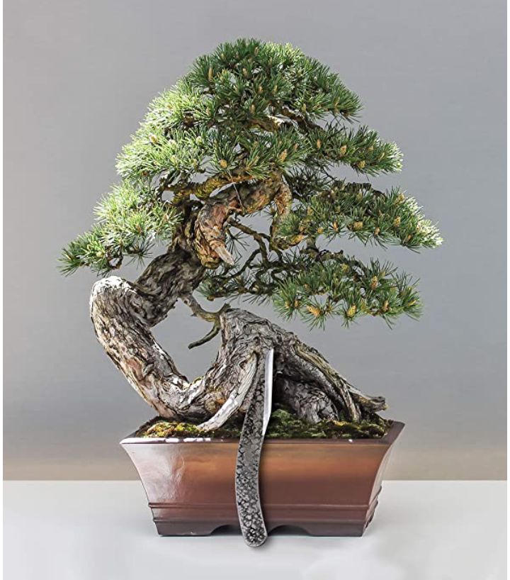 Japanese Pruning Bonsai Knife