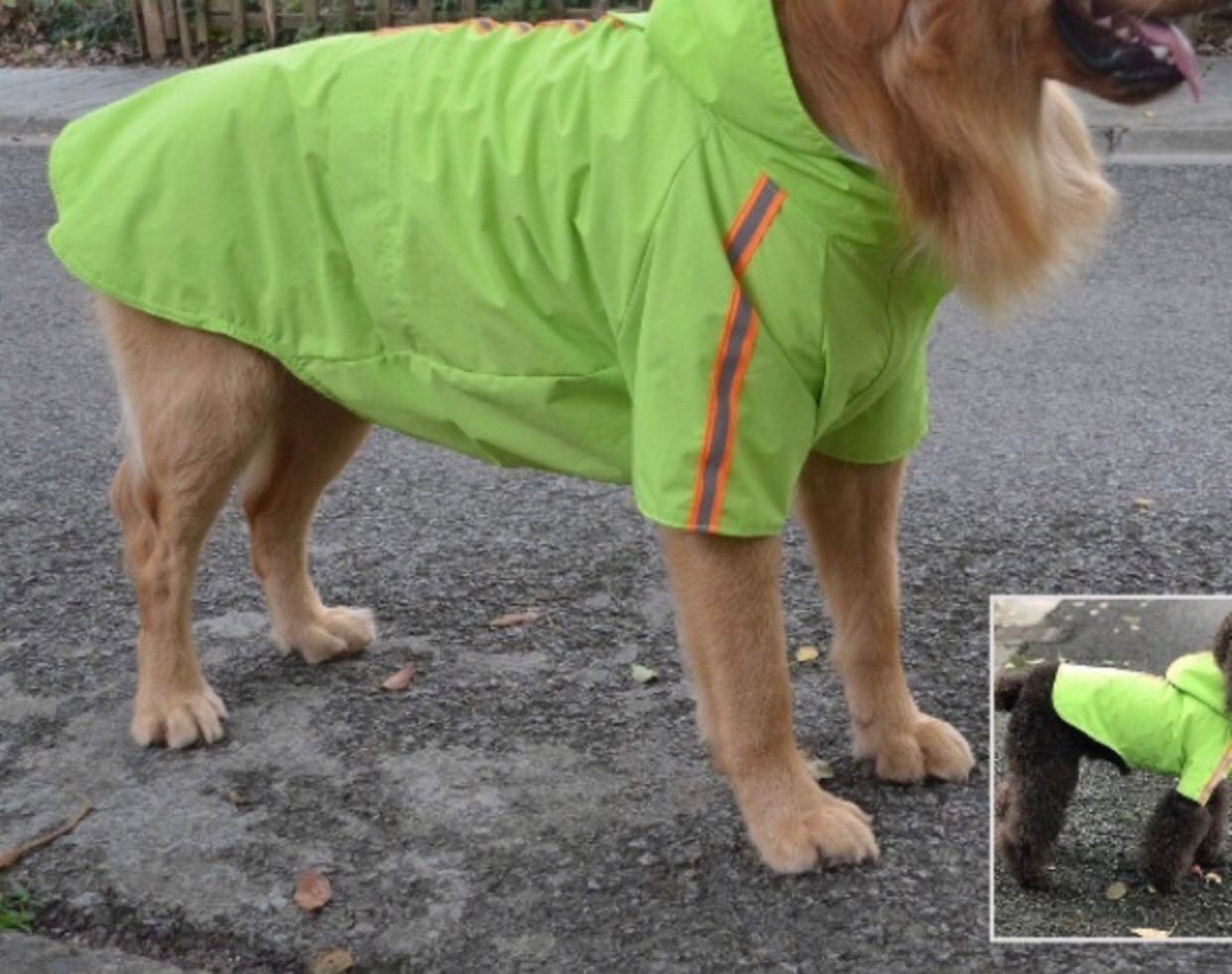 NWOT Lightweight Dog Rain Jacket Zipper Closure Poncho with Reflective Strip