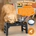 4 Height Adjustable Raised Dog Bowl Stand with 2 Thick 50oz Stainless Steel