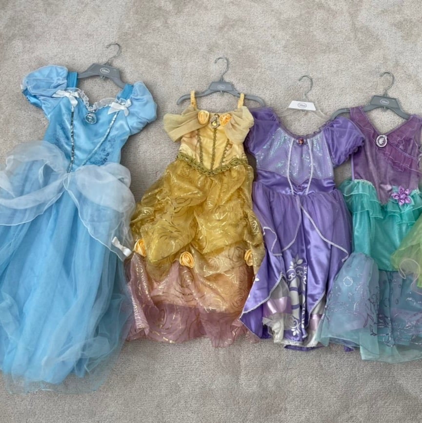 Lots Disney princess dress