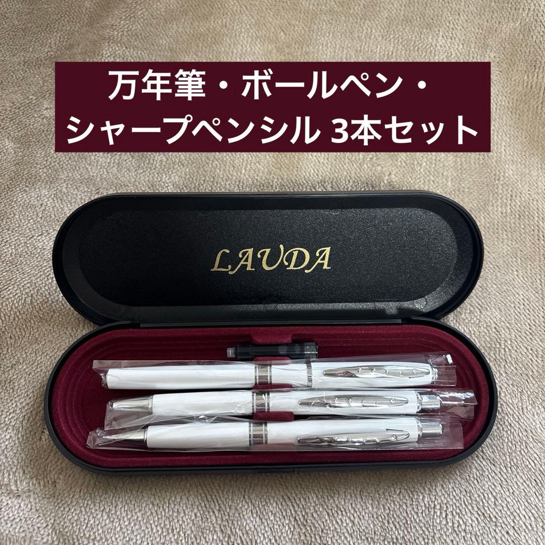Fountain Pen, Ballpoint Pen, and Mechanical Pencil Set of 3 (with Case)