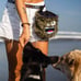 Chase Dog treat Bag