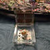 Tokidoki Sephora Special Edition Makeup Cube with Mozzarella Charm