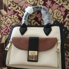 ALDO handbag
