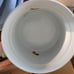 Cordon Bleu BIA Sunflower Stoneware