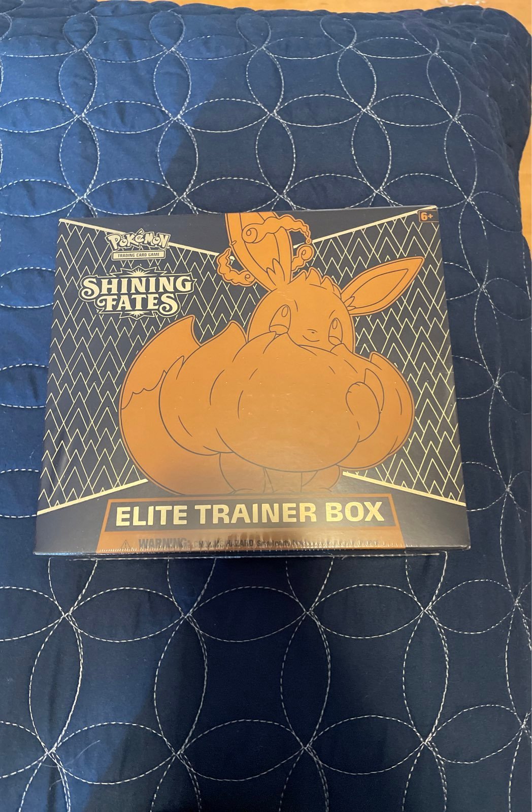 Shining Fates Elite Trainer Box