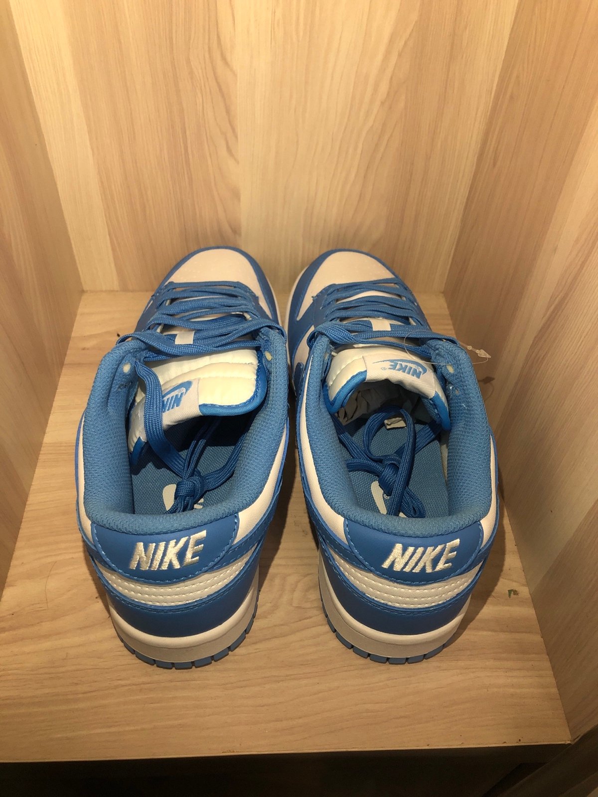 Nike Dunk SB Low Blue
