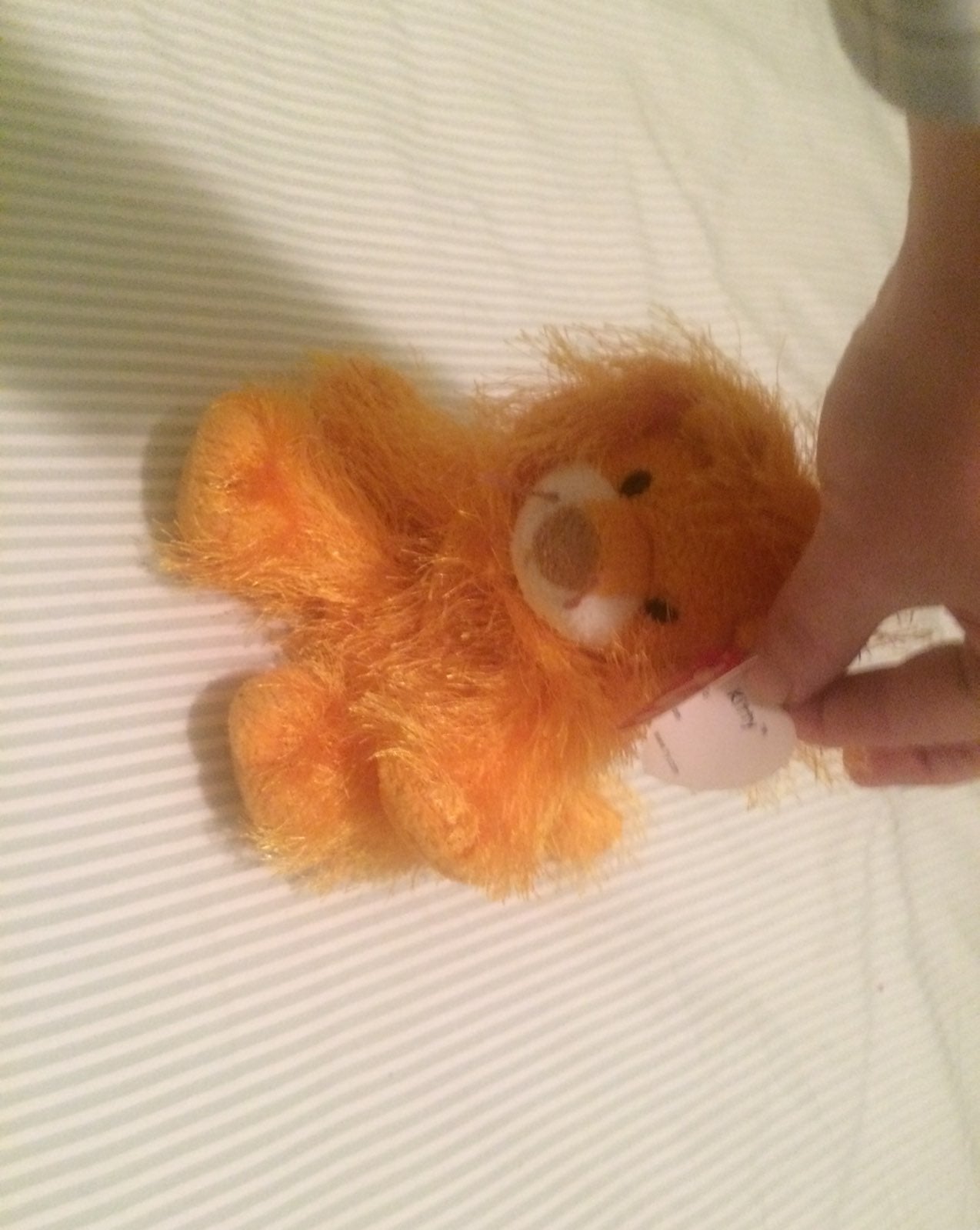ty beanie babies