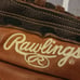 Rawlings Baseball Glove