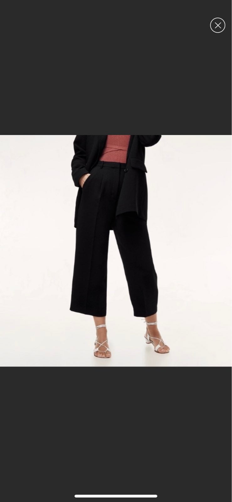 Aritzia wilfred Pants size 2