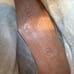 Satorisan Suede Silverlake Ankle Boots Size 40