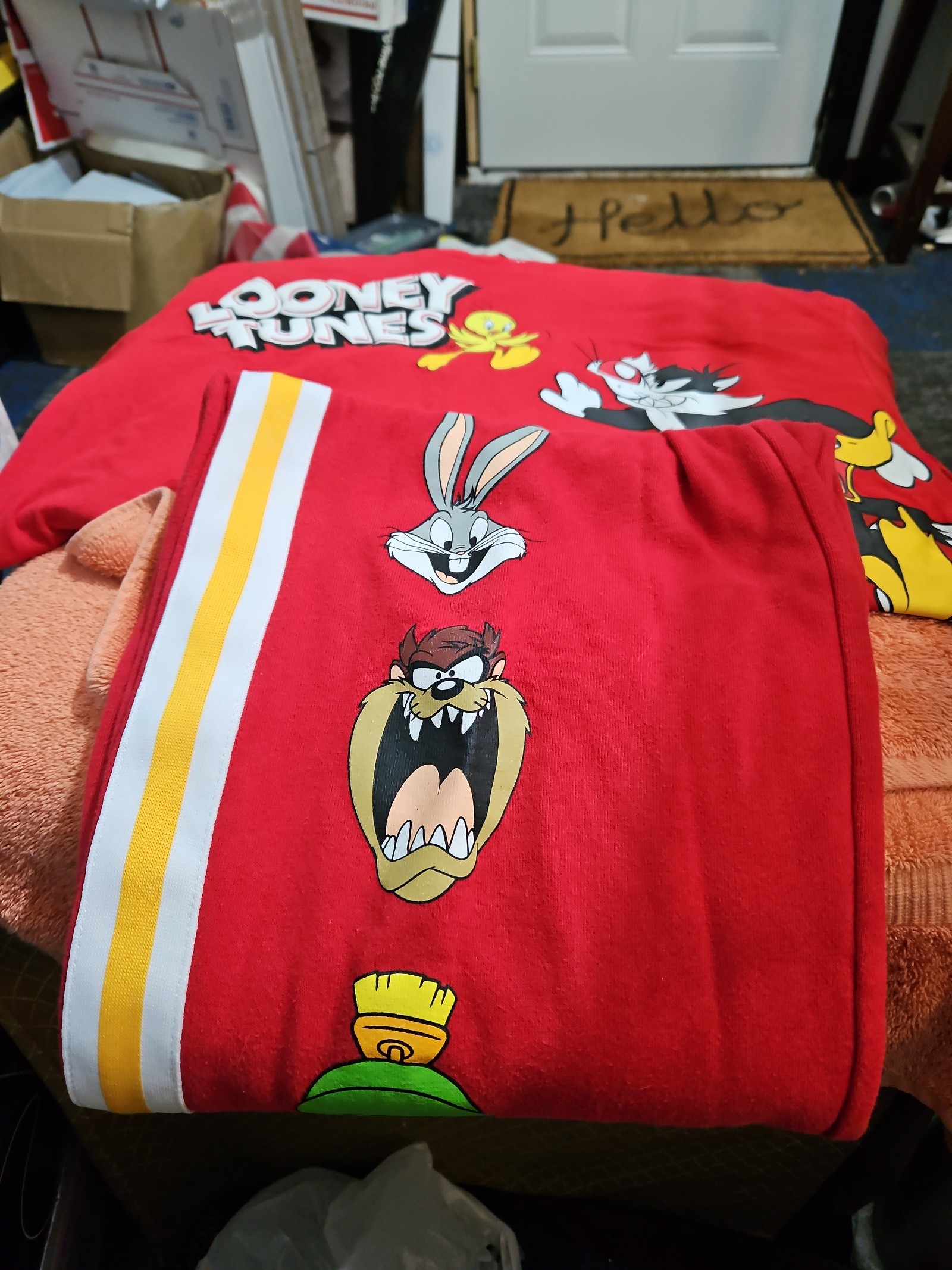 Looney tunes set short sleeve shirt and sweatpants