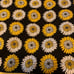 50x60 hand sewn blankets -50 each