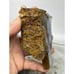 High Grade Polka Dot Agate. Madras Oregon Lapidary Rough #460