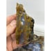 High Grade Polka Dot Agate. Madras Oregon Lapidary Rough #460