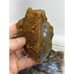 High Grade Polka Dot Agate. Madras Oregon Lapidary Rough #460