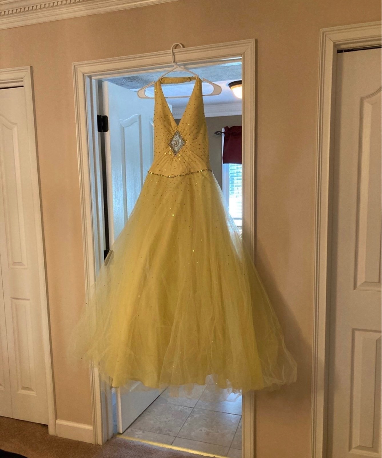 Pageant/Prom Dress